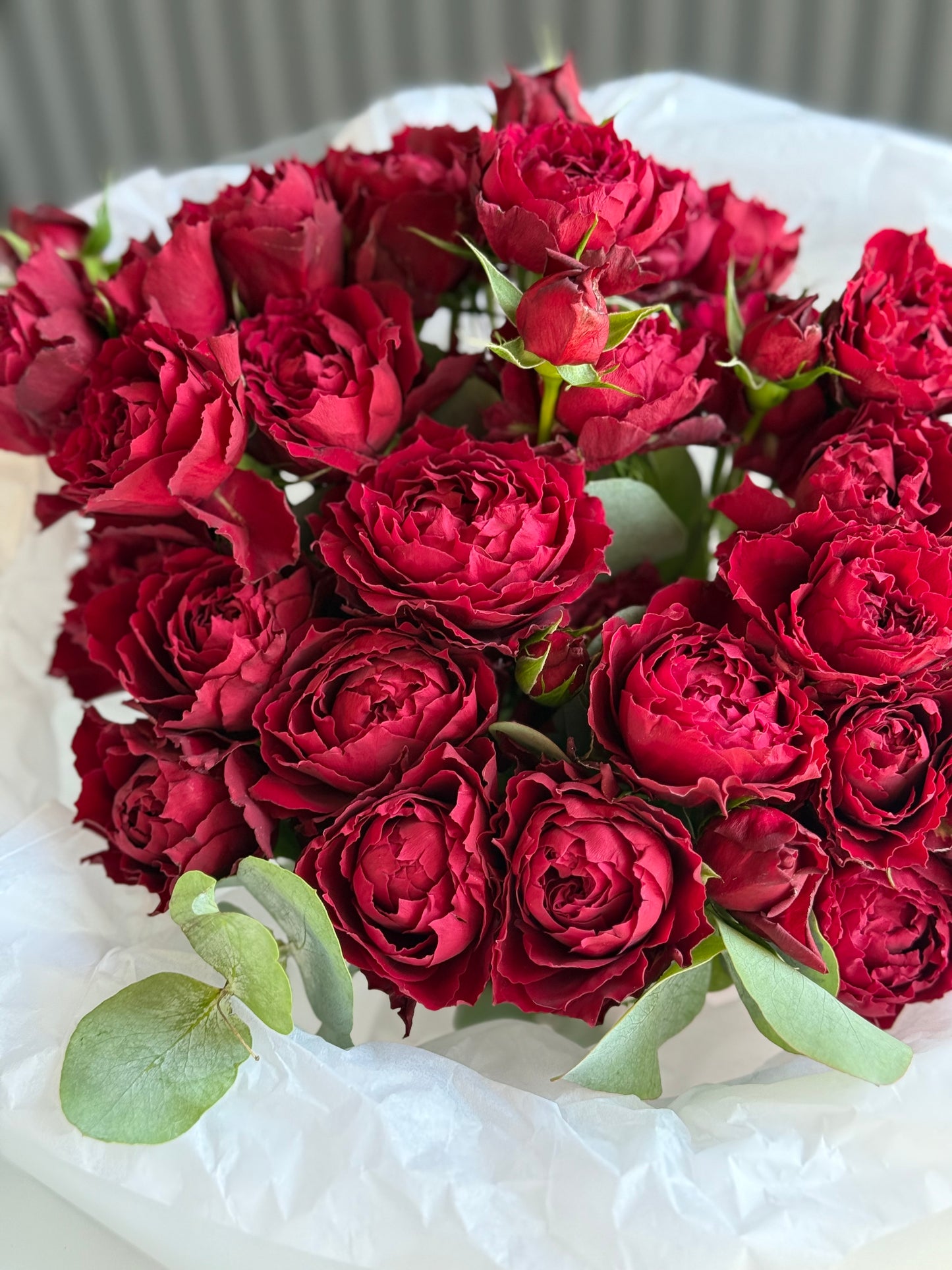 TODAY'S FEATURED BOUQUET BLOOM