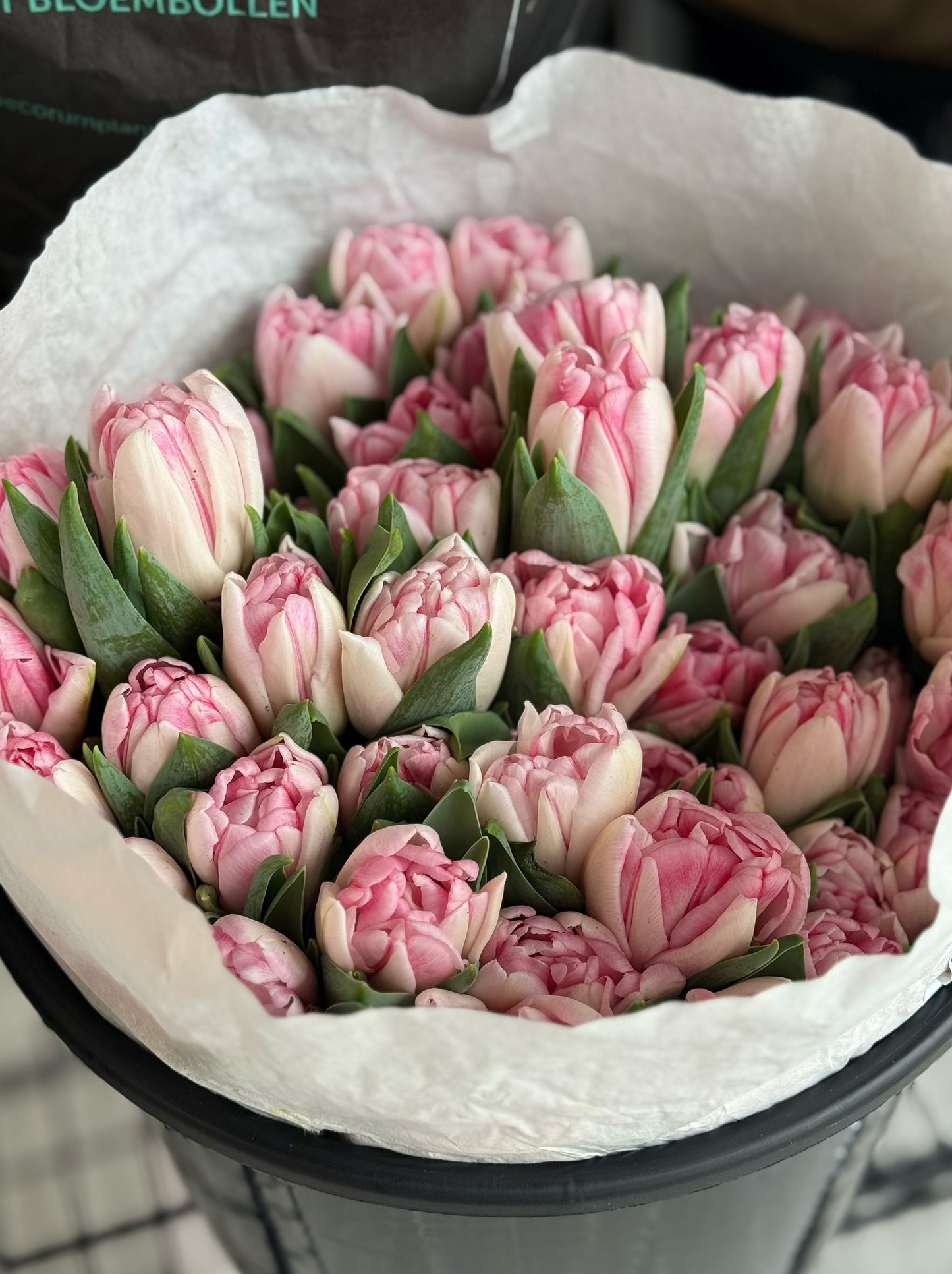 Fox double Dutch tulips bouquet with blush pink and cream peony-style petals wrapped in luxury florist paper.