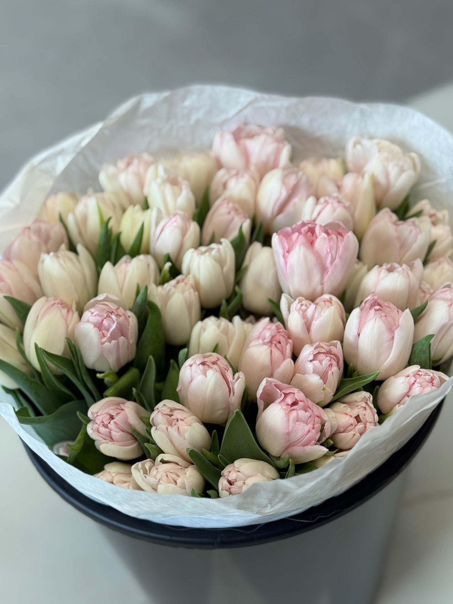 Foxtrot Light Pink Double Tulips