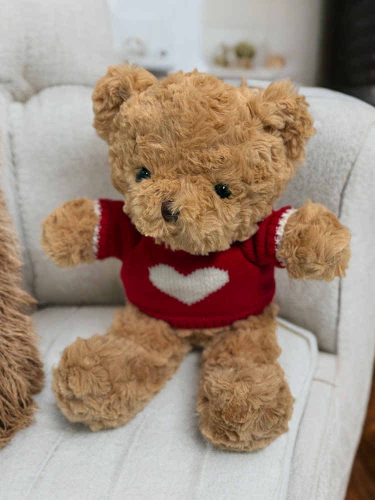 TEDDY BEAR SWEATER 30CM