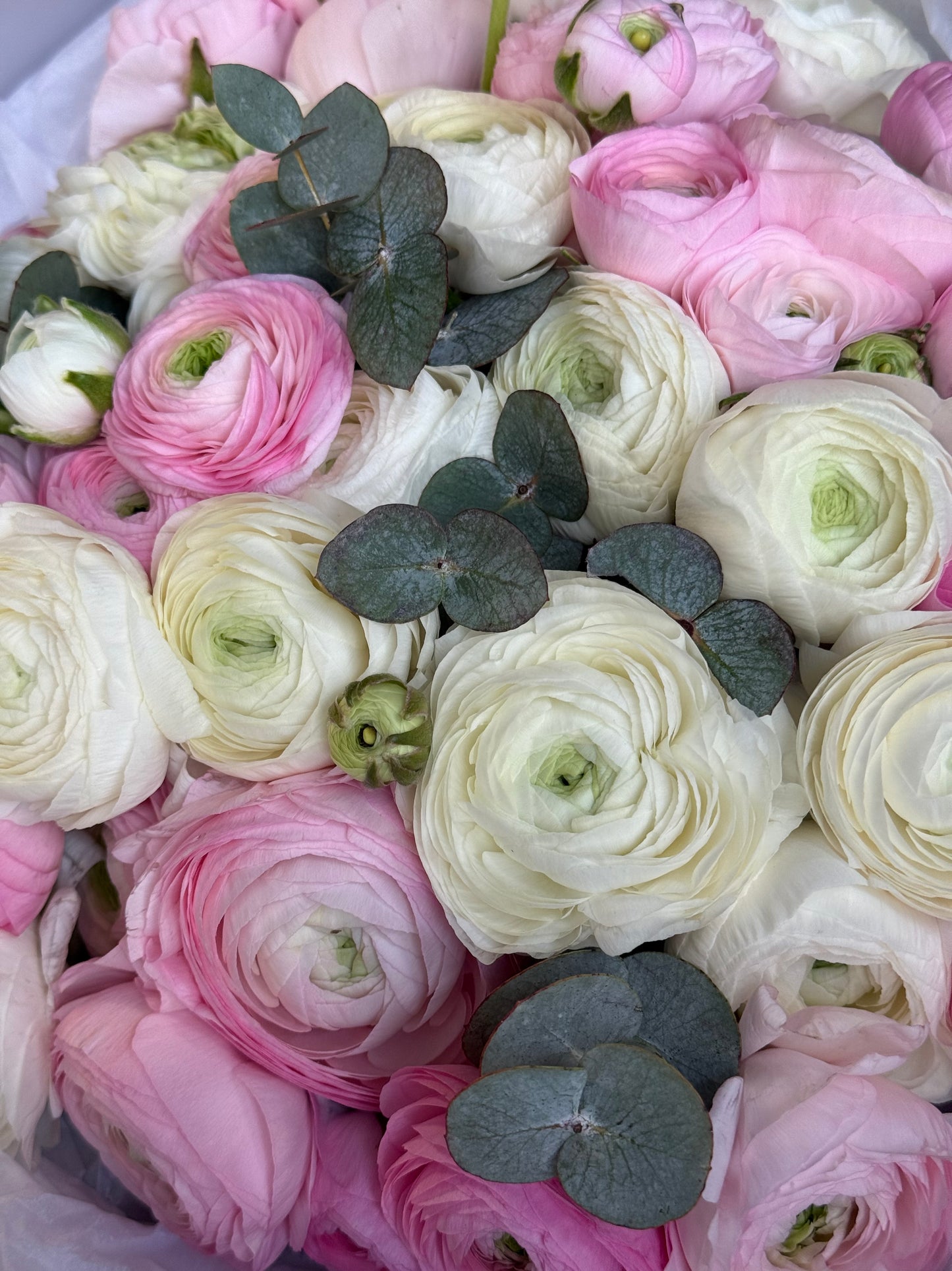 pink white ranunculus bouquet elegant floral arrangement