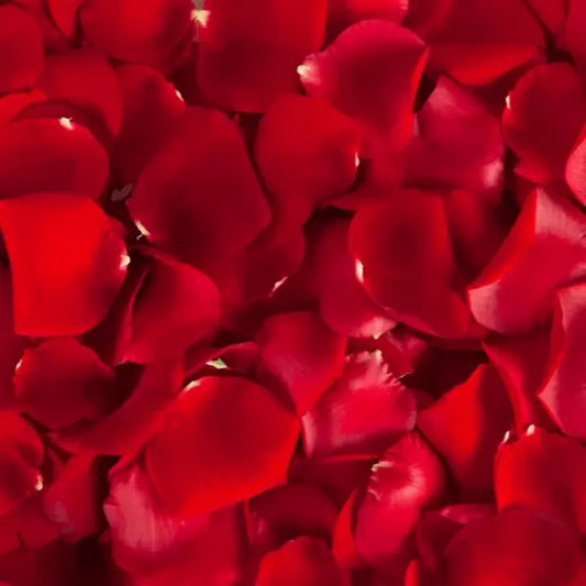 RED ROSE PETALS