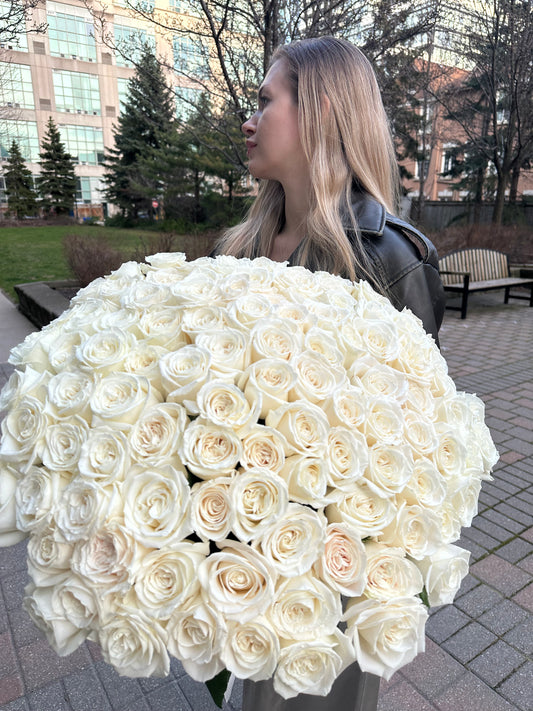 100 WHITE ROSES