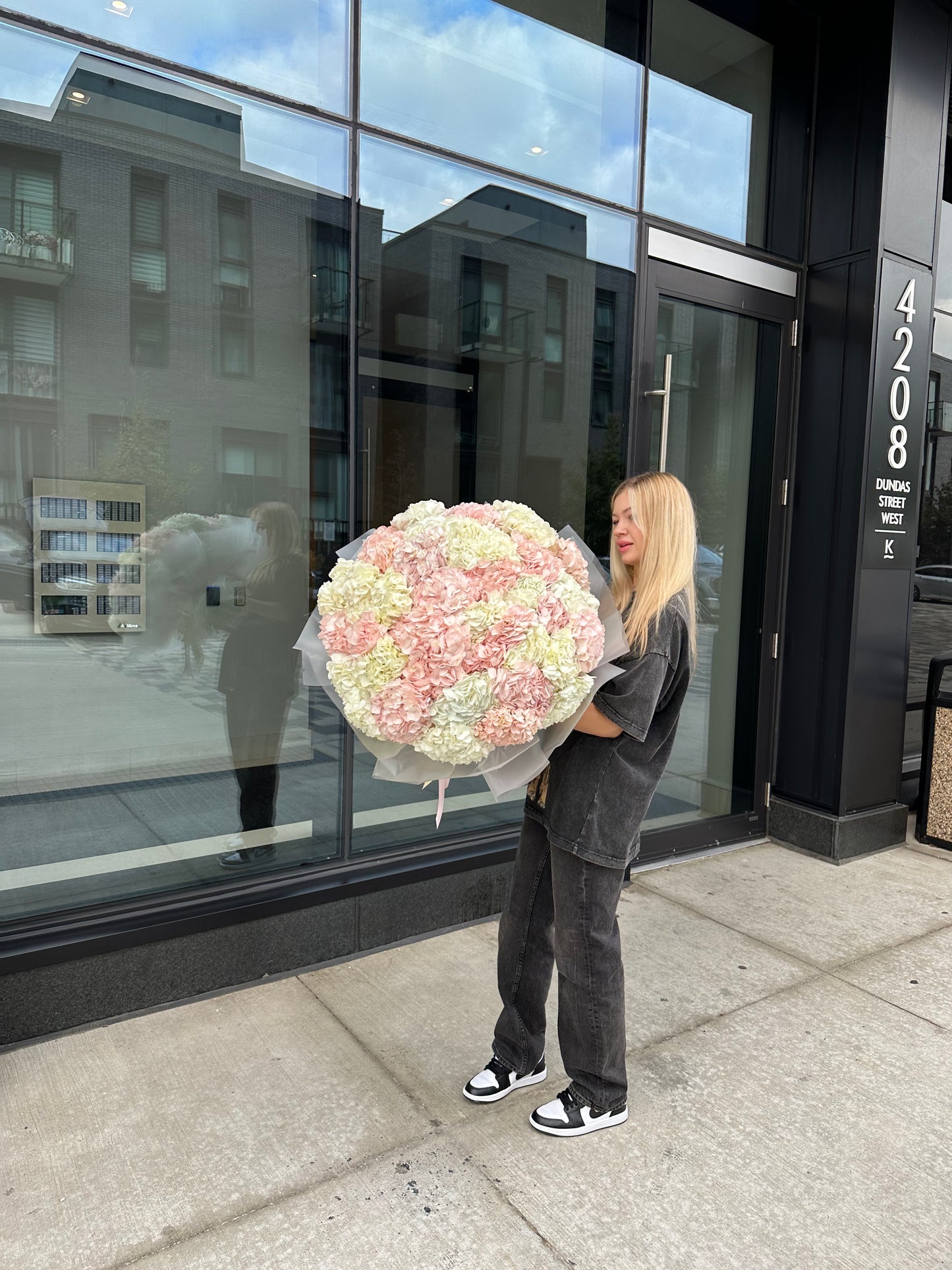 GIANT HYDRANGEA