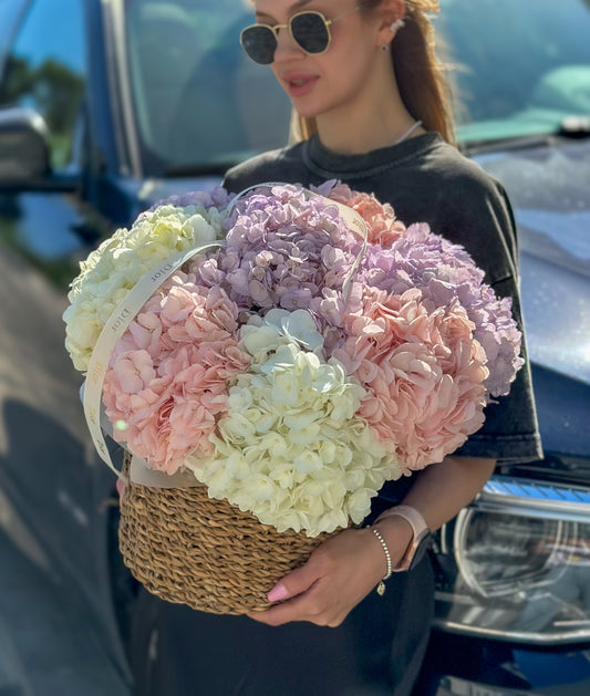 HARMONY BASKET