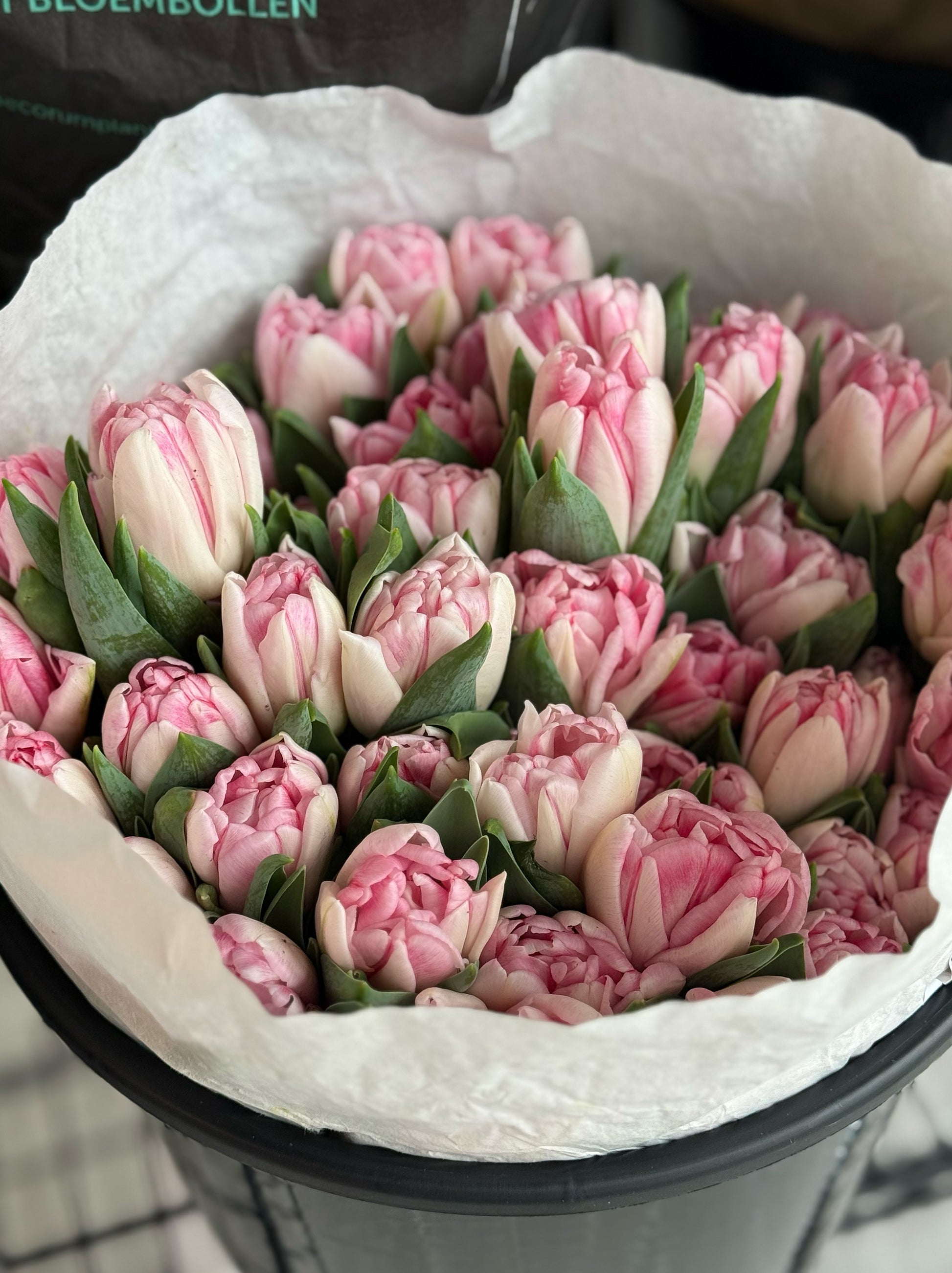 Fox double Dutch tulips bouquet with blush pink and cream peony-style petals wrapped in luxury florist paper.

