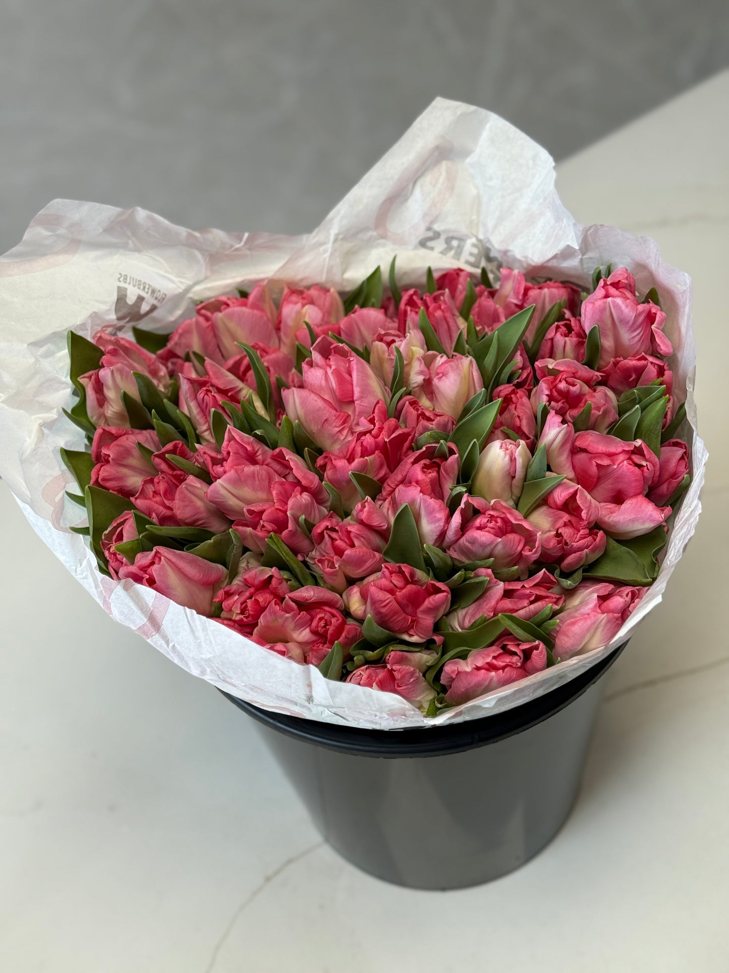 Hot Pink Double Dutch Tulips