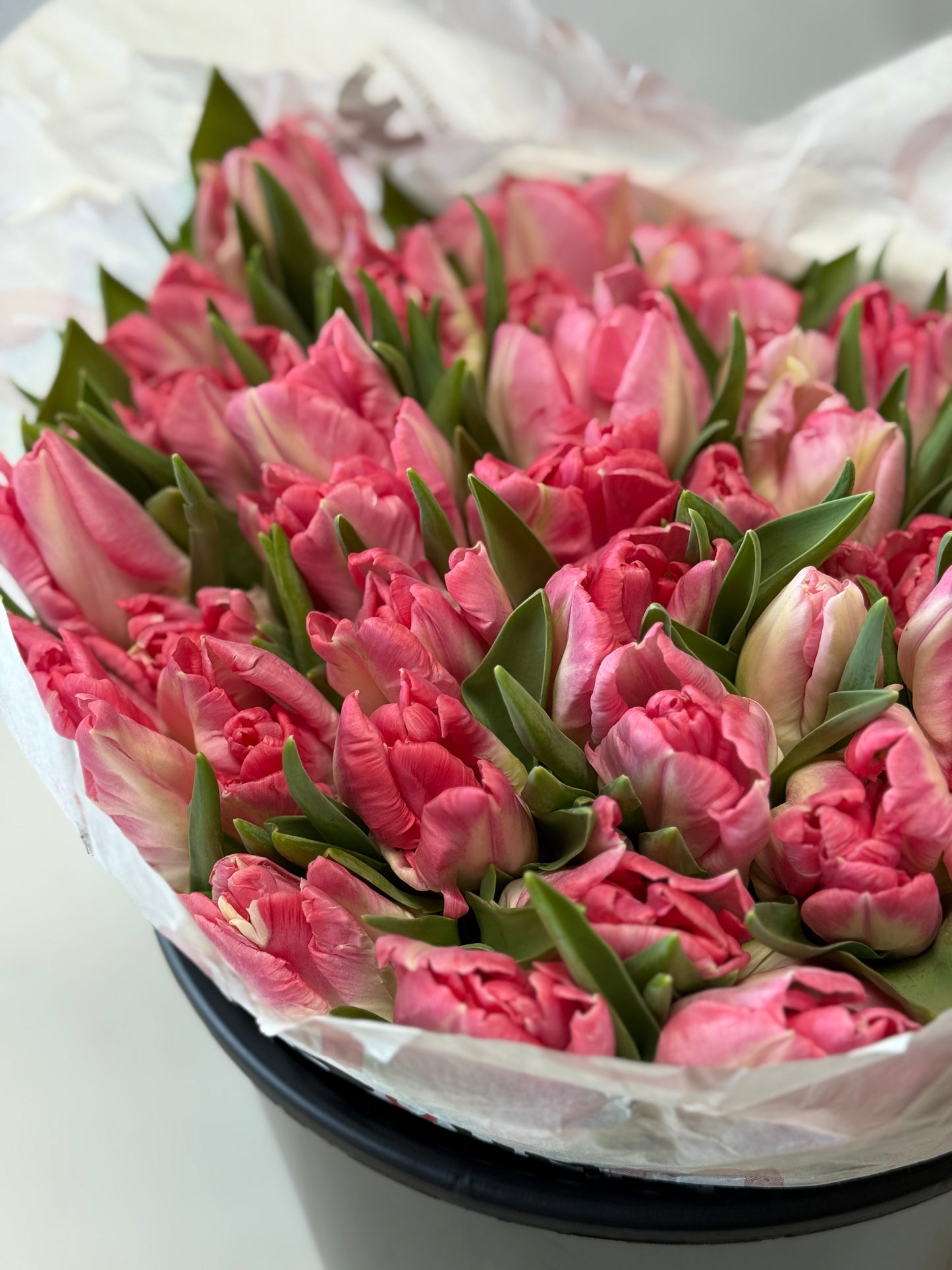 Hot Pink Double Dutch Tulips