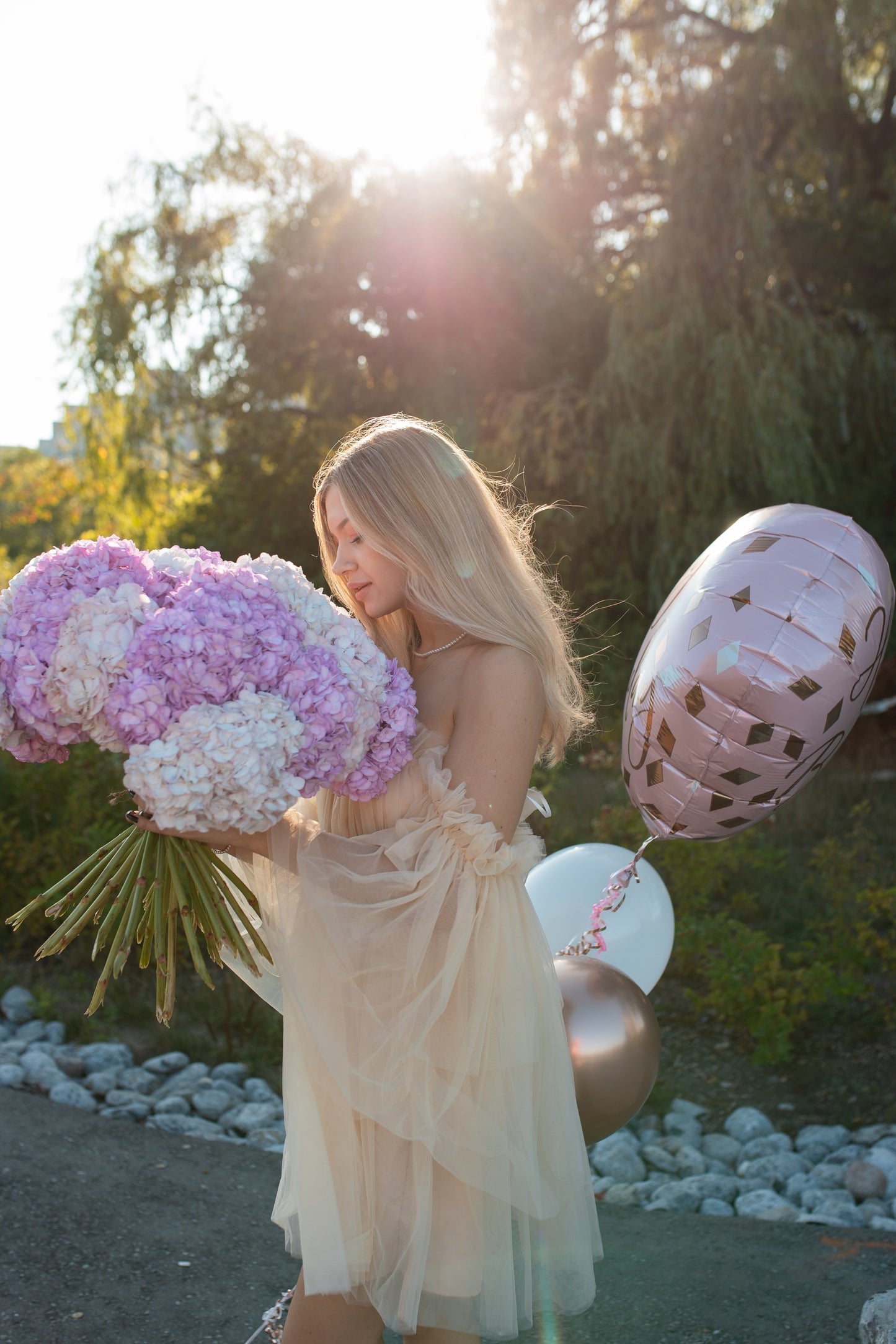 GIANT HYDRANGEA