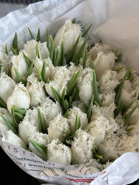White fringed Dutch tulips bouquet with delicate frilled petals wrapped in luxury paper – available for same-day delivery in Toronto.