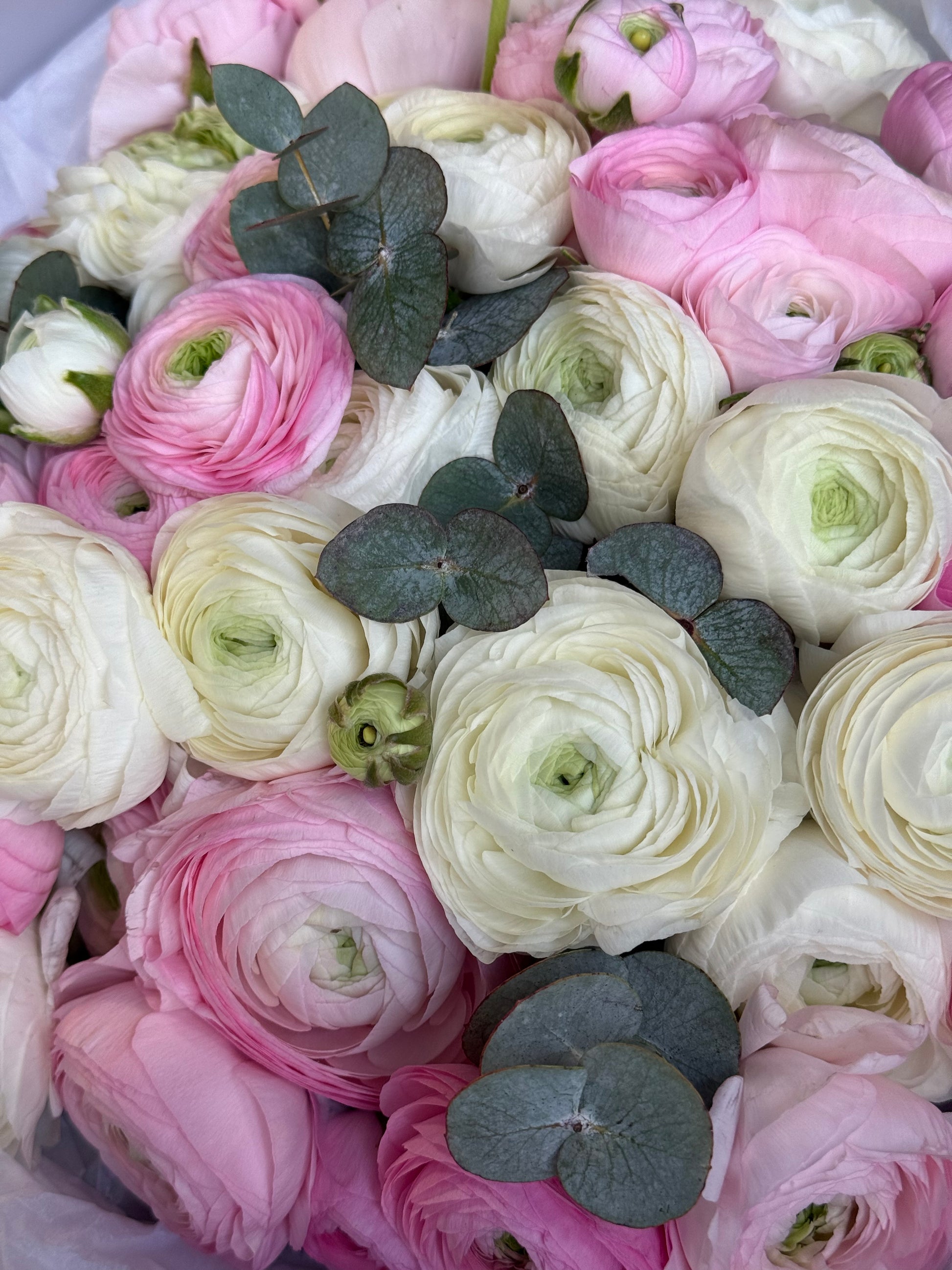  pink white ranunculus bouquet elegant floral arrangement